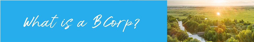 78_bcorp_wibc