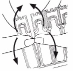 clenil_A